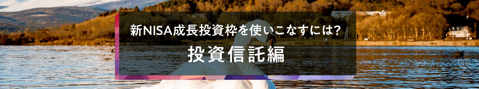 新NISA成長投資枠を使いこなすには？　投資信託編