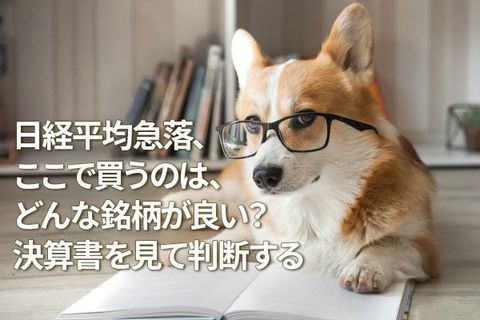 日経平均急落、ここで買うのは、どんな銘柄が良い？決算書を見て判断する