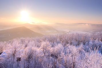 先週のトウシル記事3選：桐谷さんが選ぶ株主優待！20~40代向け銘柄5選・「衆議院解散は買い」に乗るべき？・スシローvsくら寿司。あなたはどっち派？