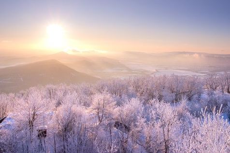 先週のトウシル記事3選：桐谷さんが選ぶ株主優待！20~40代向け銘柄5選・「衆議院解散は買い」に乗るべき？・スシローvsくら寿司。あなたはどっち派？