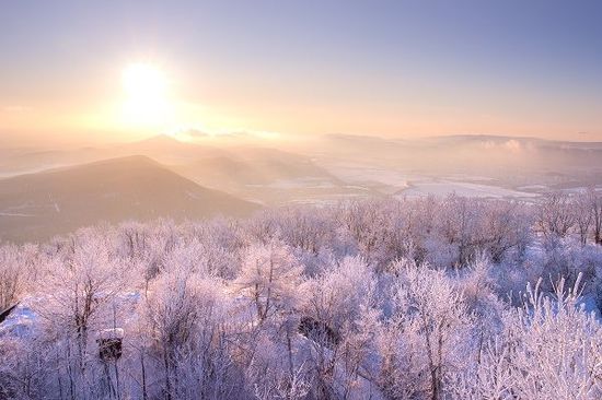 先週のトウシル記事3選：桐谷さんが選ぶ株主優待！20~40代向け銘柄5選・「衆議院解散は買い」に乗るべき？・スシローvsくら寿司。あなたはどっち派？