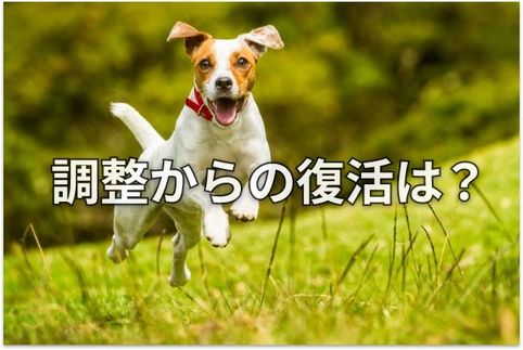 【投資クイズ】ソフトウエア株は「SaaSの死」で売られ過ぎか？