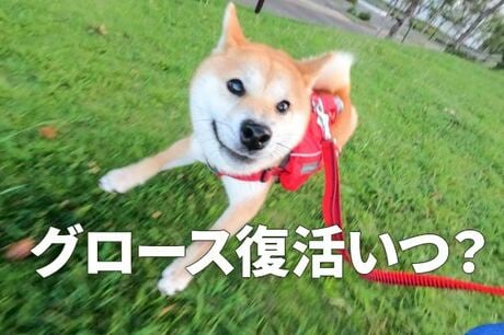 日本株、来年以降「グロース優位」に戻ると予想する理由