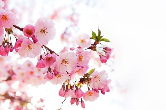 先週のトウシル記事3選：利回り4.8%のJリートと不動産取引の潮流を読む・「円高×内需優勢」に備える日本株5銘柄・株価が半値になったときの選択肢