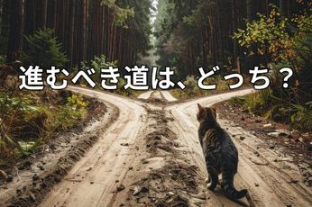 【投資クイズ】「利回り10％の債券」と「NTT株」、買うならどっち？
