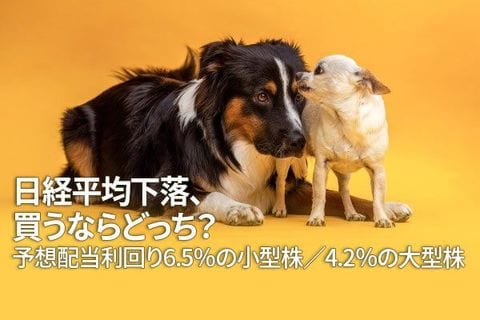 日経平均下落、買うならどっち？予想配当利回り6.5％の小型株／4.2％の大型株