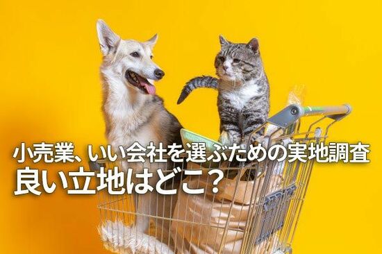 小売業、いい会社を選ぶための実地調査。良い立地はどこ？