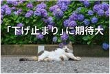【投資クイズ】平均利回りが5.2%に上昇!J-REITの価値を見直す