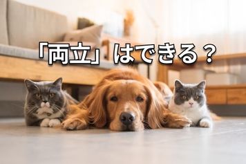 【クイズ】高配当の人気優待株は?ソフトバンク、OLC、マクドナルド…