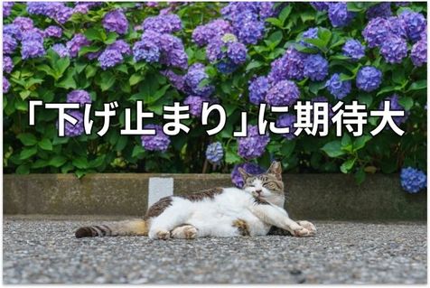 【投資クイズ】平均利回りが5.2％に上昇！J-REITの価値を見直す