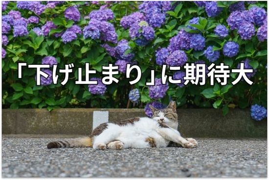 【投資クイズ】平均利回りが5.2％に上昇！J-REITの価値を見直す
