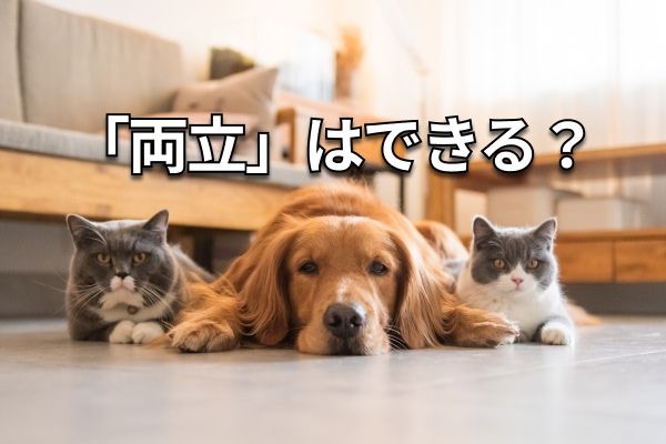 【クイズ】高配当の人気優待株は？ソフトバンク、OLC、マクドナルド…