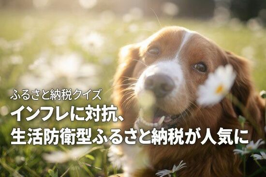 ふるさと納税クイズ：インフレに対抗、生活防衛型ふるさと納税が人気に
