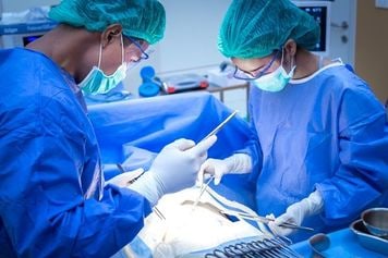 【1989(平成元)年11月13日】日本初の生体肝移植