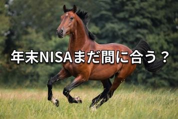年末直前!2025年NISA枠を使い切る&旧NISA対応ガイド