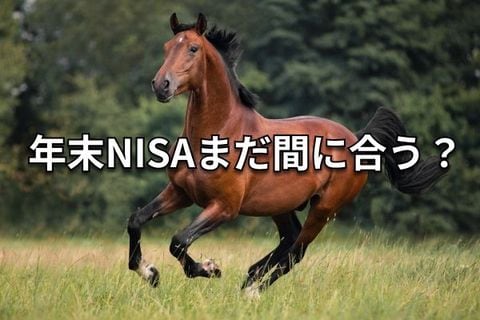 年末直前！2025年NISA枠を使い切る＆旧NISA対応ガイド