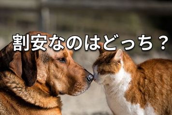 【クイズ】PBR1倍割れはどれ？眠れるお宝銘柄を発掘しよう