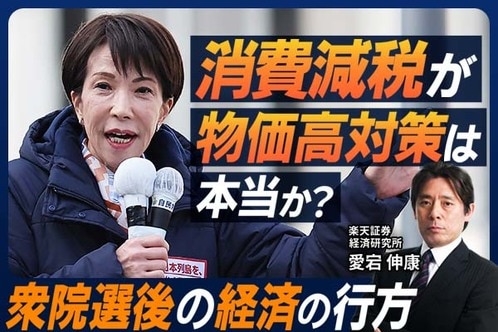 ［動画］【検証】消費税を減税して、本当に大丈夫なのか？
