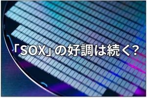 米国株：大波乱相場でもうける人と損をする人