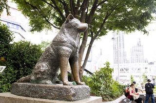 1988 （昭和63）年4月10日】瀬戸大橋開通 | トウシル 楽天証券の