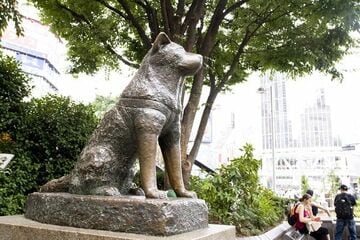 【1934（昭和9）年4月8日】忠犬ハチ公の日
