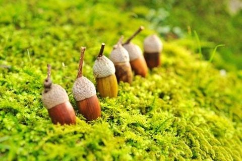 「市場の効率性」を考える5つの質問