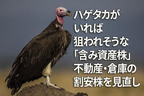 警戒され過ぎ？不動産・倉庫は、要チェックの「割安株」