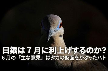 日銀は7月に利上げするのか？～6月の「主な意見」はタカの仮面をかぶったハト～（愛宕伸康）