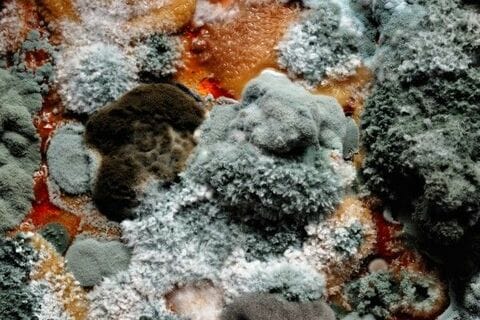 トランプが仕掛ける貿易戦争と通貨戦争の賞味期限はいつだ？