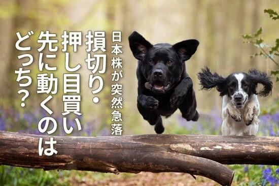 日本株が突然急落：損切り・押し目買い、先に動くのはどっち？
