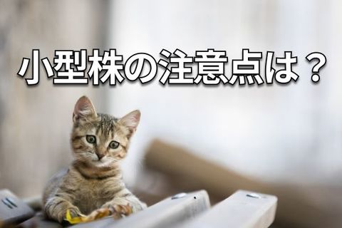 【クイズ】日経平均5万円超えても出遅れ？小型高配当株は宝の山か