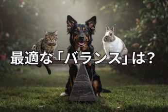 【投資クイズ】GPIFの資産構成に学ぶ、株はどれだけ持てばよい?