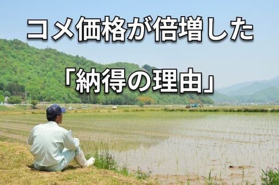 5㎏ 2000円台は可能か？「令和のコメ騒動」の背景とは
