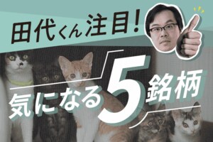 「サナエノミクス」で株価上昇！決算目前、注目の日本株5選