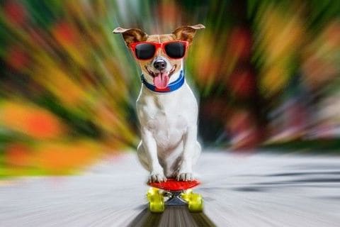 解き放たれた秋相場に飛び乗る