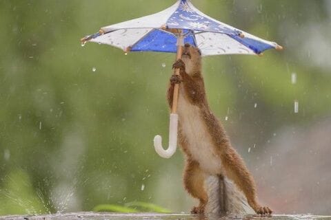 「底割れ」の寸前で耐え忍ぶ日本株。報われたいそのガマン