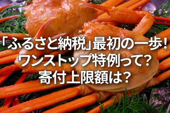 「ふるさと納税」最初の一歩！ワンストップ特例って？寄付上限額は？（窪田真之）