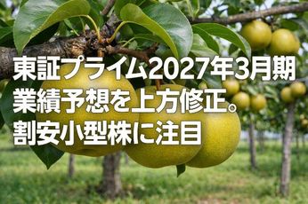 東証プライム2027年3月期業績予想を上方修正。割安小型株に注目（窪田真之）