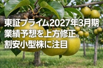 東証プライム2027年3月期業績予想を上方修正。割安小型株に注目（窪田真之）