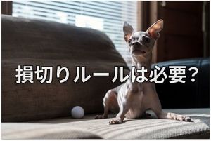 【投資クイズ】株主優待をお得に活用する方法は？