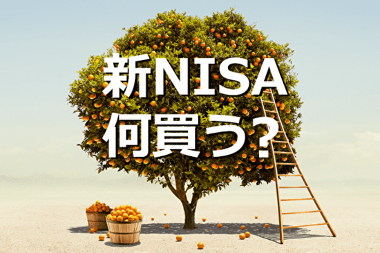 新NISAで、何を買う？新制度の上手な活用法