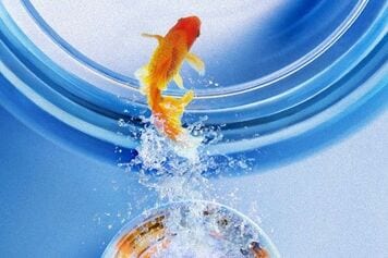 株式市場が下落中。解約?減額?「ラップ」で急落回避術