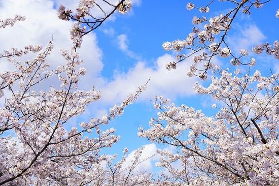 先週のトウシル記事3選：トランプ氏がイラン撤退決断でも原油高は終わらない・初めての株式投資で大損しないために・ポイント投資と投資信託だけで300万円