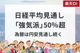 投資家調査:日経平均見通し「強気派」50%超/投資先の関心が海外株式へ