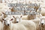 【投資クイズ】配当利回り4〜6％も！「小型高配当株」で資産形成するならどれ？
