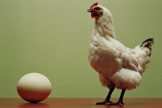 穀物急騰。鶏卵価格を「優等生に戻す」シンプルな方法