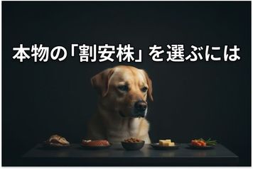 【投資クイズ】日経平均7万円到達で大注目！バリュー株の正しい選び方