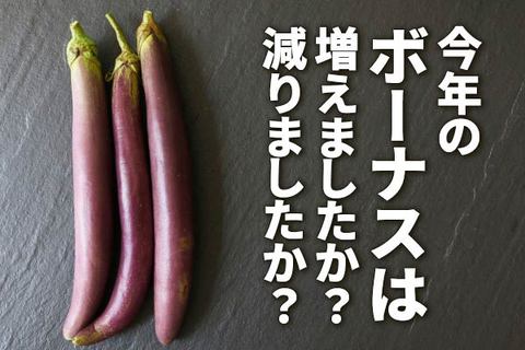 今年のボーナスは増えましたか？減りましたか？
