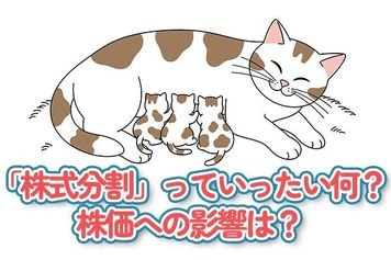 「株式分割」っていったい何?株価への影響は?