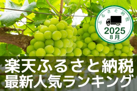 シャインマスカットなど旬のフルーツが人気！楽天ふるさと納税：最新人気ランキング（8月）